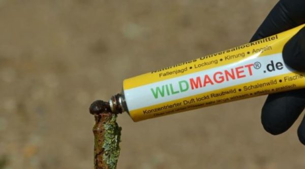 Wildmagnet lokmiddel - 30 gram 10 STUKS+1 PAKKET - Afbeelding 2