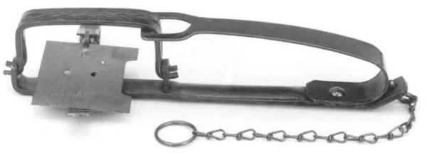 Wildklem met bladveer - 102 mm