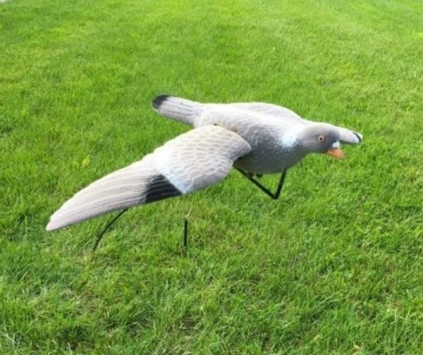 Lokmiddel - Beflockte Vliegende Duif