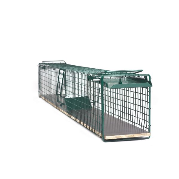 Steenmarter - Boommarter - Bunzing Gaaskooi - 116cm - Afbeelding 2