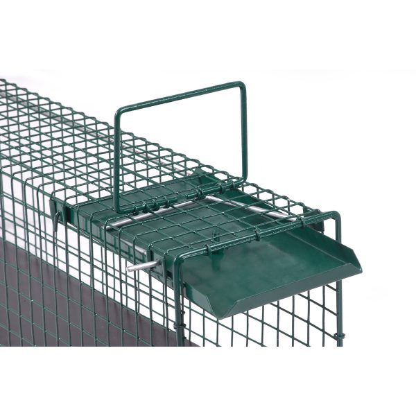 Steenmarter - Boommarter - Bunzing Gaaskooi - 116cm - Afbeelding 3