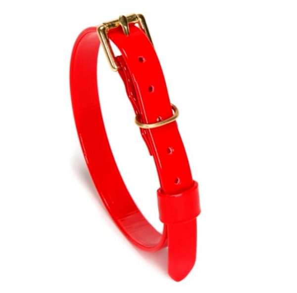 Bellman & Flint 5/8″ Collar - halsband