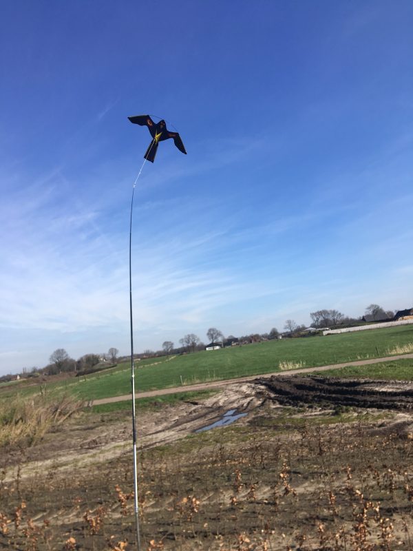 Vogelverjaging - Bird Scaring Kite 4m - Draaiende voet - Afbeelding 2
