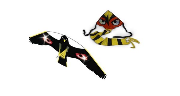 Vogelverjaging - Twin Vlieger - 7m