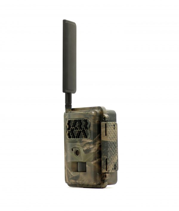 Seissiger - Wildcamera Special Cam LTE Supersim - Afbeelding 4