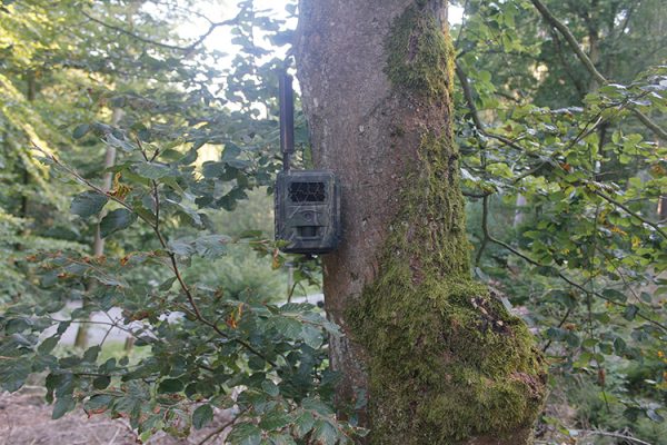 Seissiger - Wildcamera Special Cam LTE Supersim - Afbeelding 6