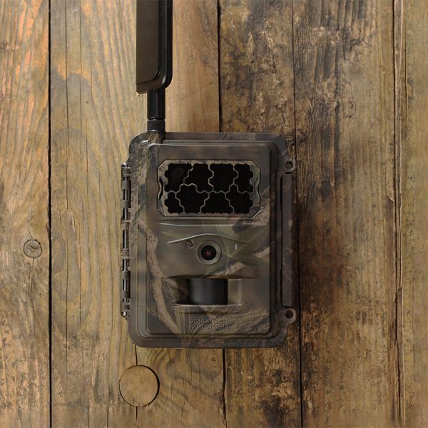 Seissiger - Wildcamera Special Cam LTE
