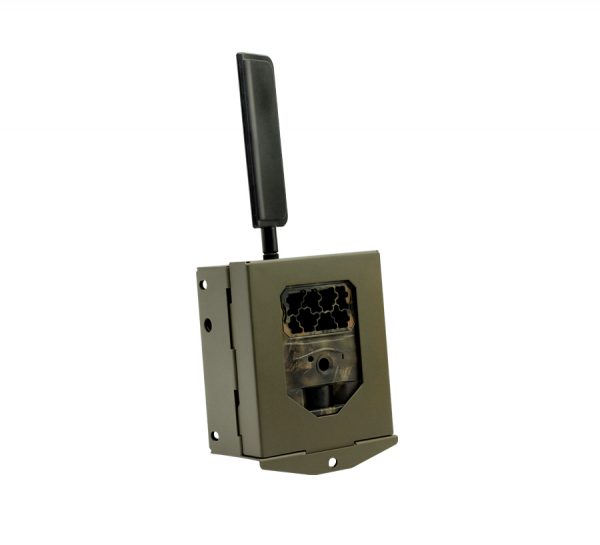Seissiger - Wildcamera Special-Cam CLASSIC / 2G / 4G / LTE - Beschermkast - Afbeelding 2