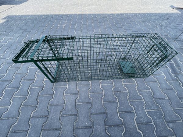 Vangkooi - Konijnen, katten, ratten, marters etc. 1-klep 120x34x42cm - Afbeelding 2